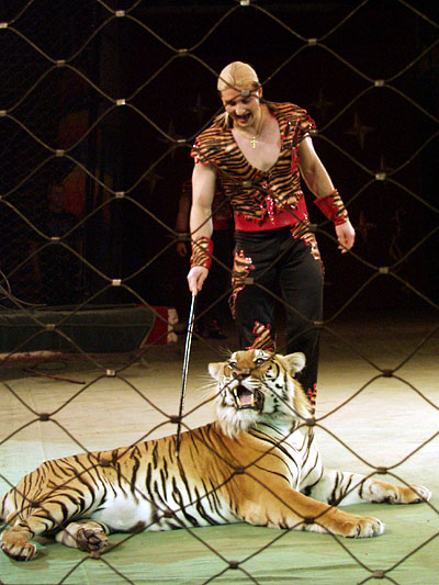Укротитель миров слушать. Дрессировщица тигров в цирке. Братья Запашные цирк. Укротитель дикой кошки.